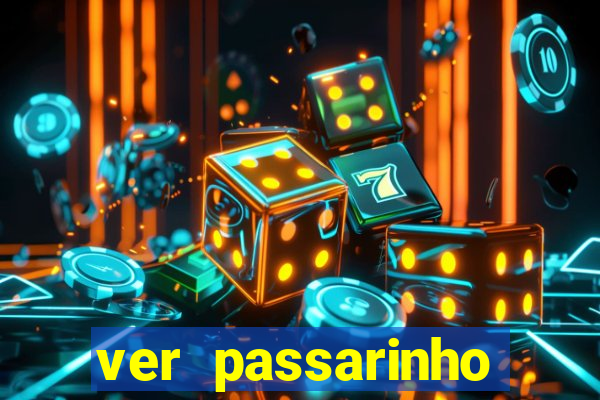 ver passarinho morto significado espiritual